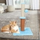 thumbnail image 4 of Árbol para gatos, condominio, torre, muebles, cama, rascador, casa para mascotas, actividad azul, 4 of 6
