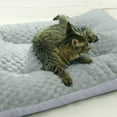 thumbnail image 3 of Pet Enlarged Thick Sleep Mat For Small And Medium Sized Dogs And Cats, Soft Dog Bed, Breathable Washable Pet Mattress, 19.68 X 11.81 In, 3 of 4