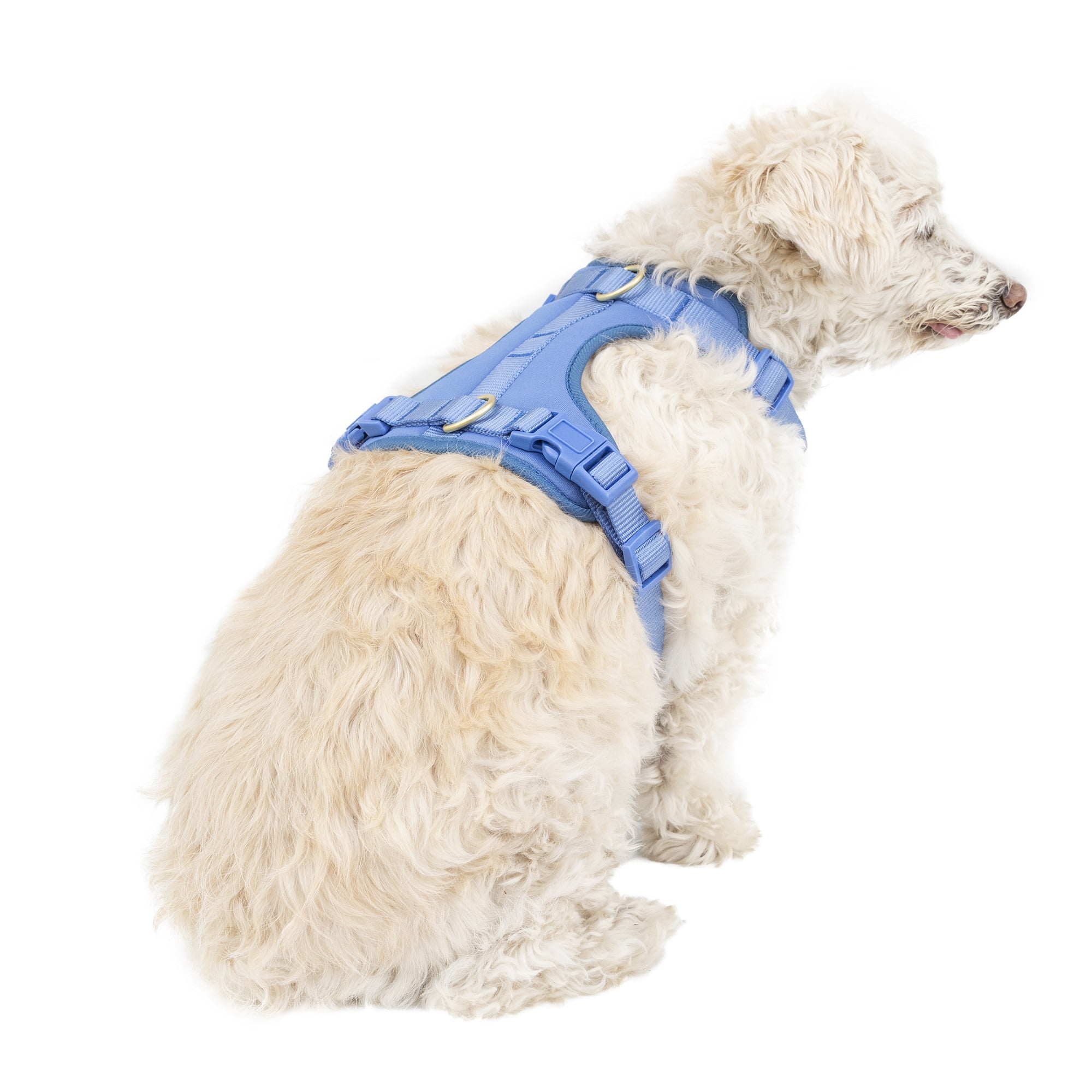 Vibrant Life Polyester Plain Walking Dog Harness, Blue, Size Small (15" to 20" Chest Size)
