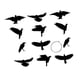 thumbnail image 5 of 18 Cuervos Decorativos Colgantes de Halloween, Esculturas de PVC Resistentes a la Intemperie Paquete de 12, 5 of 9