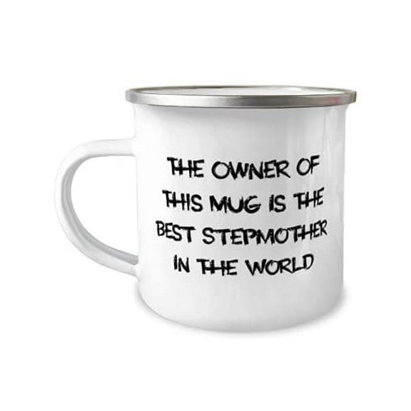 Nice Stepmother Gifts, The Owner Of This Mug Is The Best Stepmother In The World, Stepmother 12oz Camper Mug From Daughter