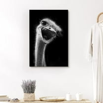 PixonSign Canvas Print Wall Art Portrait of Emu Animals Wildlife Photography Realism Modern Closeup Dramatic Dark Black and White for Living Room, Bedroom, Office - 24"x36"