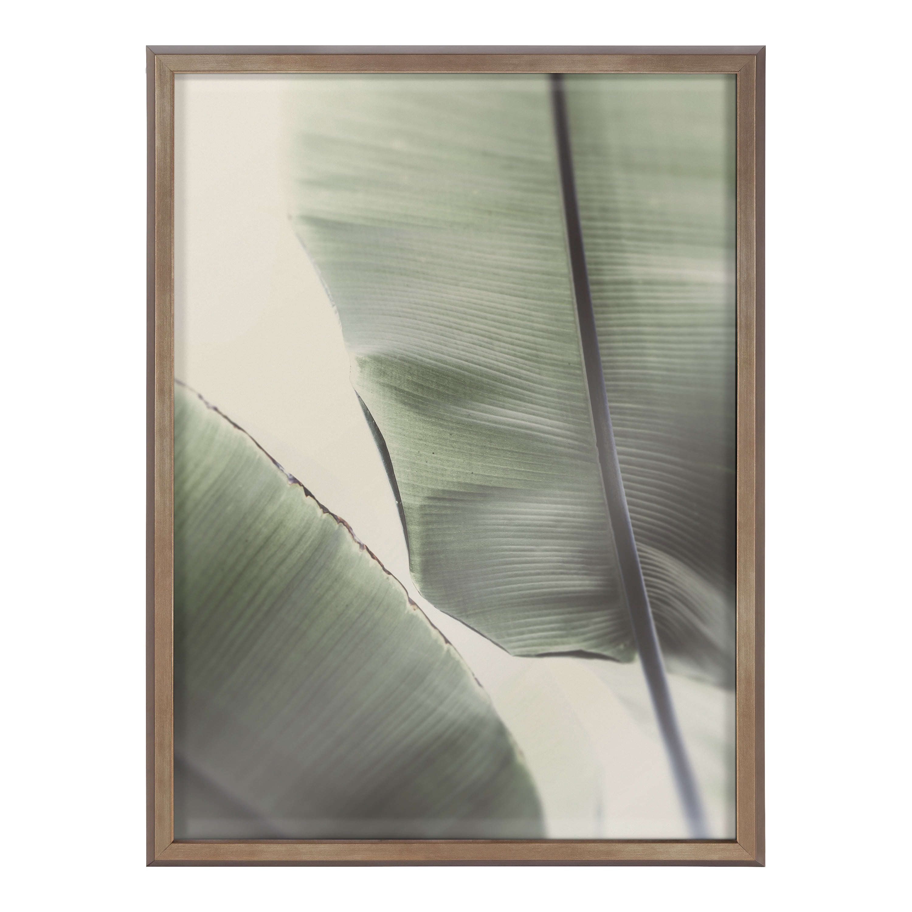 Blake Vintage Palms 18 in x 24 in Framed Photographic Wall Art, by Kate and Laurel