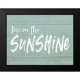 thumbnail image 2 of Lettered and Lined 18x15 Black Modern Framed Museum Art Print Titled - Live in the Sunshine, 2 of 5