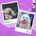 thumbnail image 4 of Gorgeous - Nourishing Pet Shampoo for Dogs – Oatmeal Formula with Aloe and Vitamin E – Natural Ingredients, 16 oz, 4 of 5