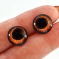 thumbnail image 5 of Deep Amber Dog Glass Eyes, 5 of 11