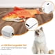 thumbnail image 3 of Beewarm Flopping Fish Cat Toy - 4 tipos de peces para elegir - Motion Kitten Toy, Plush Interactive Cat Toys, Fun Toy para Cat Exercise Red Carp brillar Hogar, 3 of 5
