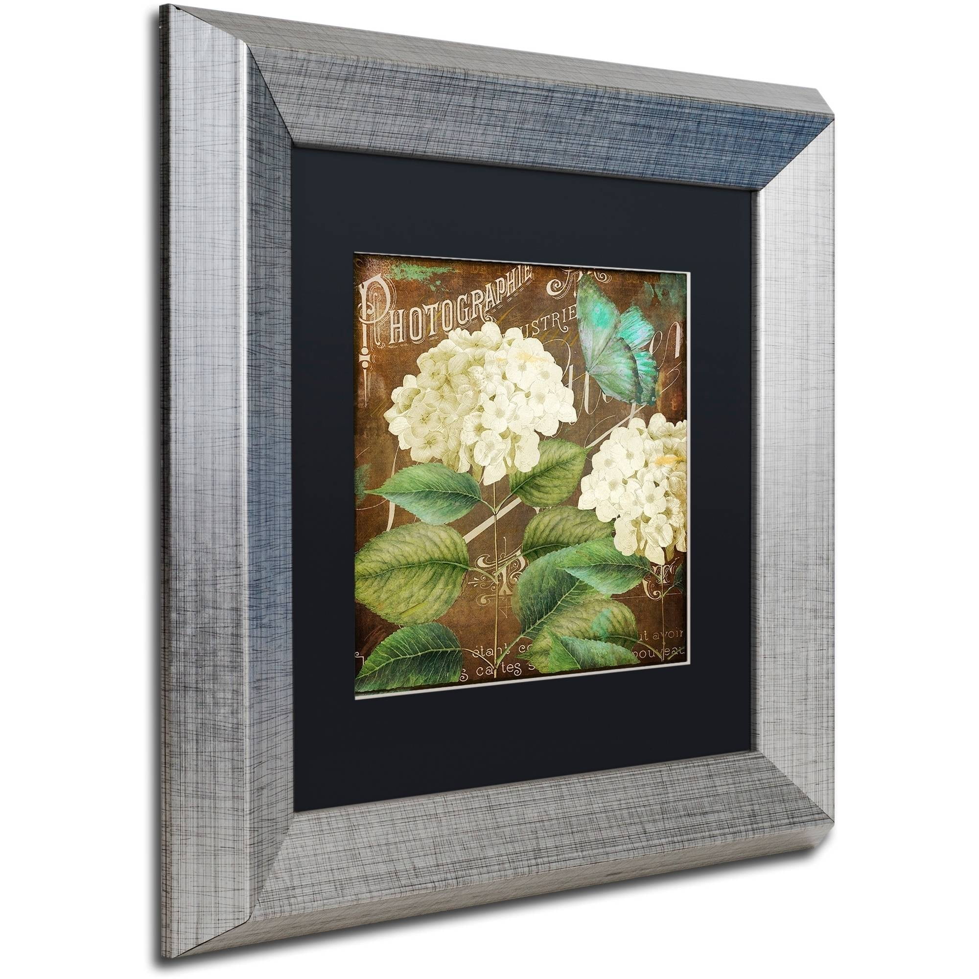 Trademark Fine Art "Alabaster Hydrangea" Canvas Art by Color Bakery Black Matte, Silver Frame