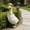 V, variant on Upgraded Decorative Clothing Set For 23 Inch Porch Geese Excluding Geese Garden Statue Decoration To Wear Clothing U