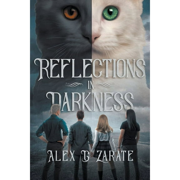 Connections Reflections In Darkness, Book 2, (Paperback)