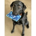 thumbnail image 2 of Bright Box Household Microfiber Sponges Scratch Free Sustainable Long-Lasting, 2ct Dog Lover, 2 of 5