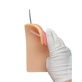 thumbnail image 1 of Bloc de Modèle en Silicone Éducatif Modèle en Peau Humaine Entraînement Exercice pour Étudiant Outil d'Entraînement, 1 of 8