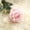 PINK j, variant on Elegant Rose Bouquet Realistic Silk Floral Arrangement Wedding Centerpiece Home