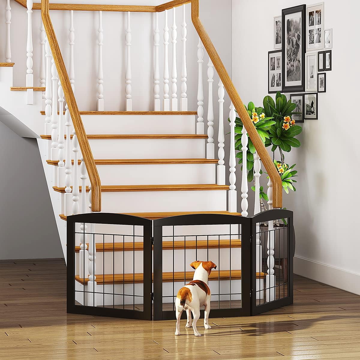 Free Standing Dog Gates for The House Stairs Doorways Indoor Foldable Wooden Small White Puppy Pet Gate Step Over Fence 60" W 24" H 3 Panels Espresso