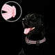 thumbnail image 4 of Collar de perro acolchado de neopreno reflectante azuza para perros grandes, 4 of 6