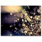 Beata Czyzowska 'Fairies in my Garden' Canvas Art