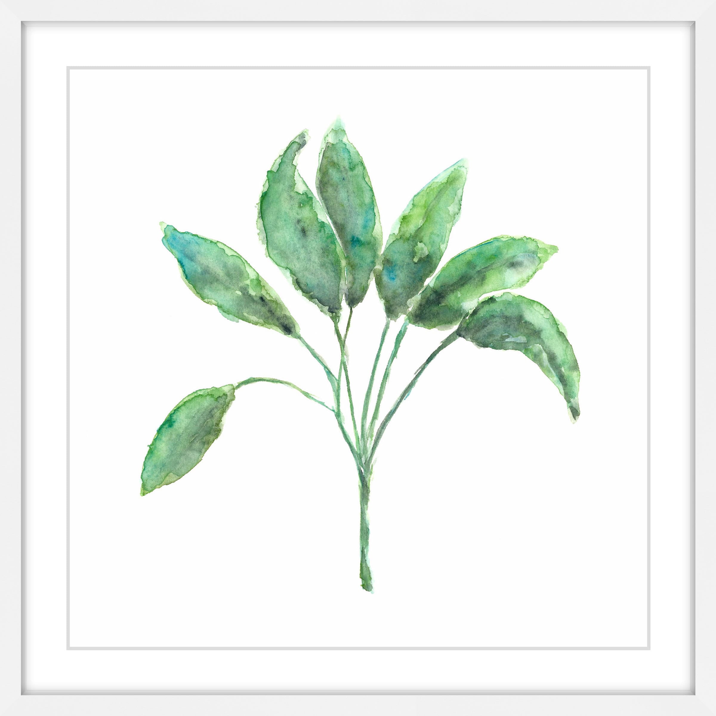 Marmont Hill "Sage Herb" by Thimble Sparrow Framed Painting Print