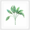 thumbnail image 2 of Marmont Hill "Sage Herb" by Thimble Sparrow Framed Painting Print, 2 of 5