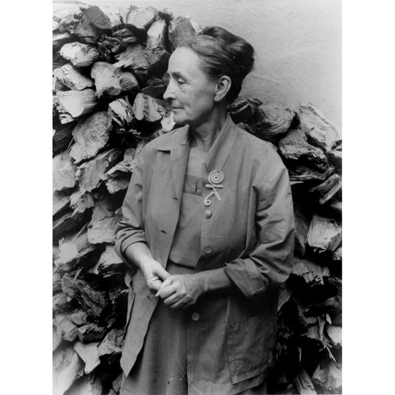 Georgia O'Keeffe History (18 x 24)