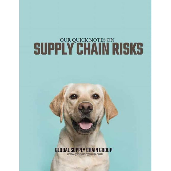 Our Quick Notes on Supply Chain Risks (Paperback)