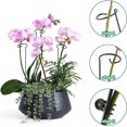 thumbnail image 6 of 12 Pack Plant Stakes, 24 inch Plant Support Stakes, with 24 Pcs Plant Clips, Green, for Garden, 6 of 8