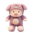 thumbnail image 2 of Funny Pig Coplay Cats Bear Doll Plush Stuffed Toy Children Birthday Xmas Gift, 2 of 2