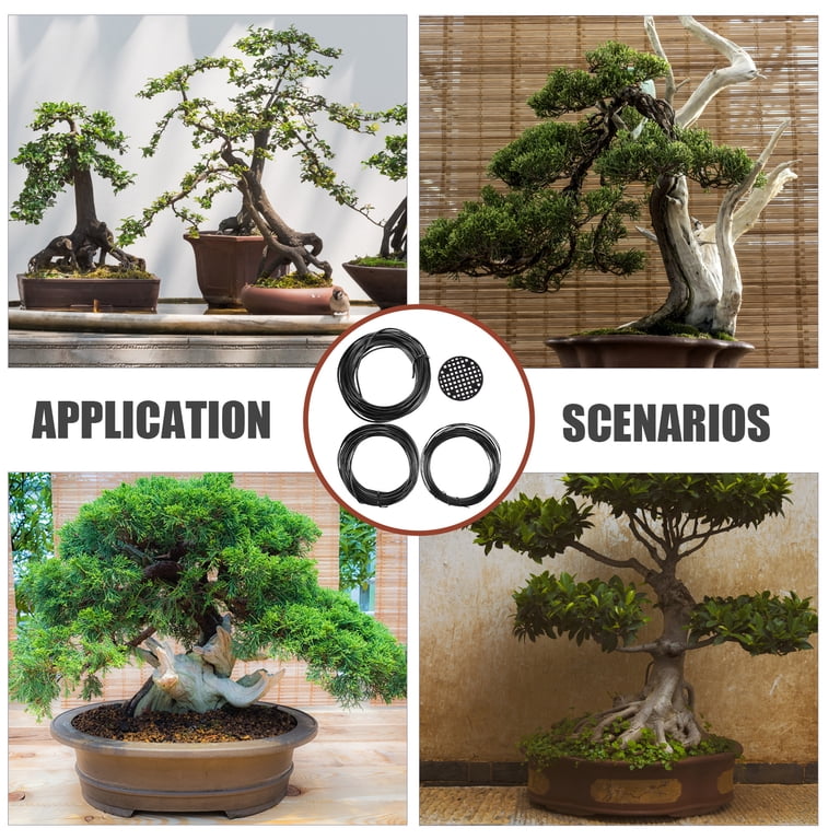 Masteelf 1 Set of Bonsai Wire Kit Plant Training Wire Garden Bonsai Tree  Training Wires - Walmart.com