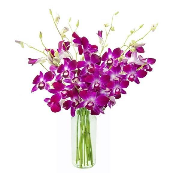 KaBloom : 5 Blue and 5 Purple Orchid With Vase, Next-Day Delivery, Gift for Every Occasion.
