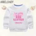 thumbnail image 5 of Anuncio de sudaderas para niños con estampado de "Me ascienden a hermana mayor" en 2024, ropa para niñas embarazadas y mamás, sudaderas con capucha para bebés y niños, 5 of 5