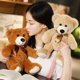 thumbnail image 2 of Oso de peluche de 30 cm, suave y tierno, ideal como regalo para bebés y niños pequeños en baby showers y San Valentín (marrón claro)., 2 of 3