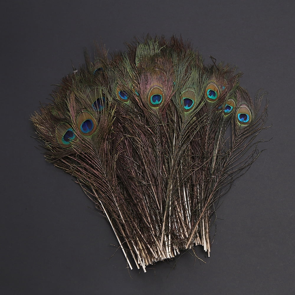 Natural Peacock Feathers Bulk Pack 50 Pieces, 10–12 Inch (25–30 cm), for DIY Crafts, Home, Wedding and Event Decoration