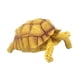 thumbnail image 2 of Figura de tortuga, juguete de tortuga, juguete educativo simulado, juego de tortuga pequeña amarillo, 2 of 9