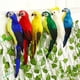 thumbnail image 2 of Toystoory Simulación hecha a mano loro jardín decoración pluma césped espuma estatuilla ornamento Animal pájaro cerca pájaro Prop Decoración Decoración del hogar No. 4 Toystoory HA024215-04, 2 of 6