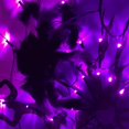 thumbnail image 3 of LINLIN Halloween Spider Web Lights,60cm Diameter 60LED Net Lights Battery Operated Black Spider Window Lights for Home Party Yard Bar Haunted House Halloween Decor, 3 of 8