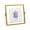 Gold, variant on AOOOWER Double Sided Glass Floating Picture Frame Pressed Flower Frame Gift for Family