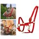 thumbnail image 1 of Cabestro de caballo de cuero de microfibra, cabestro resistente a presión para barbilla y garganta, cuerda de caballo, cabestro de entrenamiento para Rojo Medio, 1 of 8