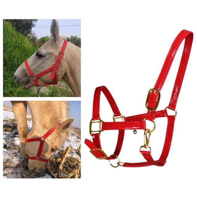 Cabestro para caballo, cabestro de entrenamiento con cuerda para caballo, microfibra ajustable portátil resistente Rojo Grande