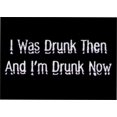 thumbnail image 2 of I Was Drunk Then and Drunk Now Magnet DM2195, 2 of 10
