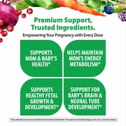 Prenatal One Multivitamin with Folate, Ginger and Probiotics | 150 Vegan Caplets | by Rainbow Light