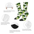 thumbnail image 3 of Yiaed Cute Broccoli Print Great elasticity Crew Socks Sports socks for Men and Women, 3 of 5