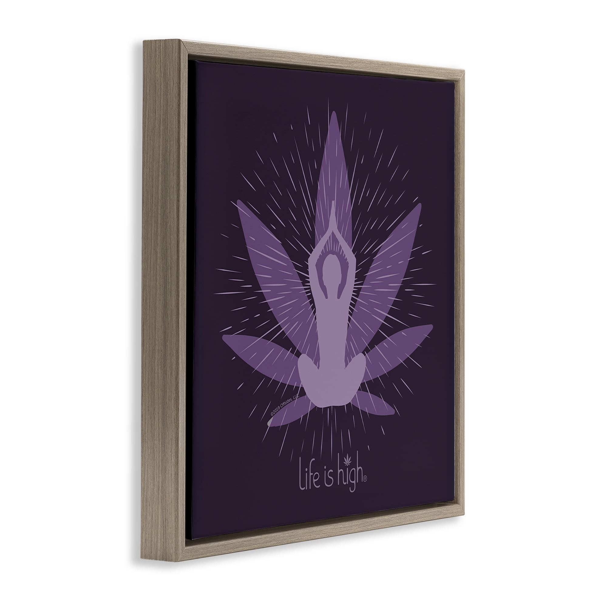 Stupell Industries Meditating Mindful Plant Novelty & Humor Painting Brown Floater Framed Canvas Art Print Wall Art, 18 x 18