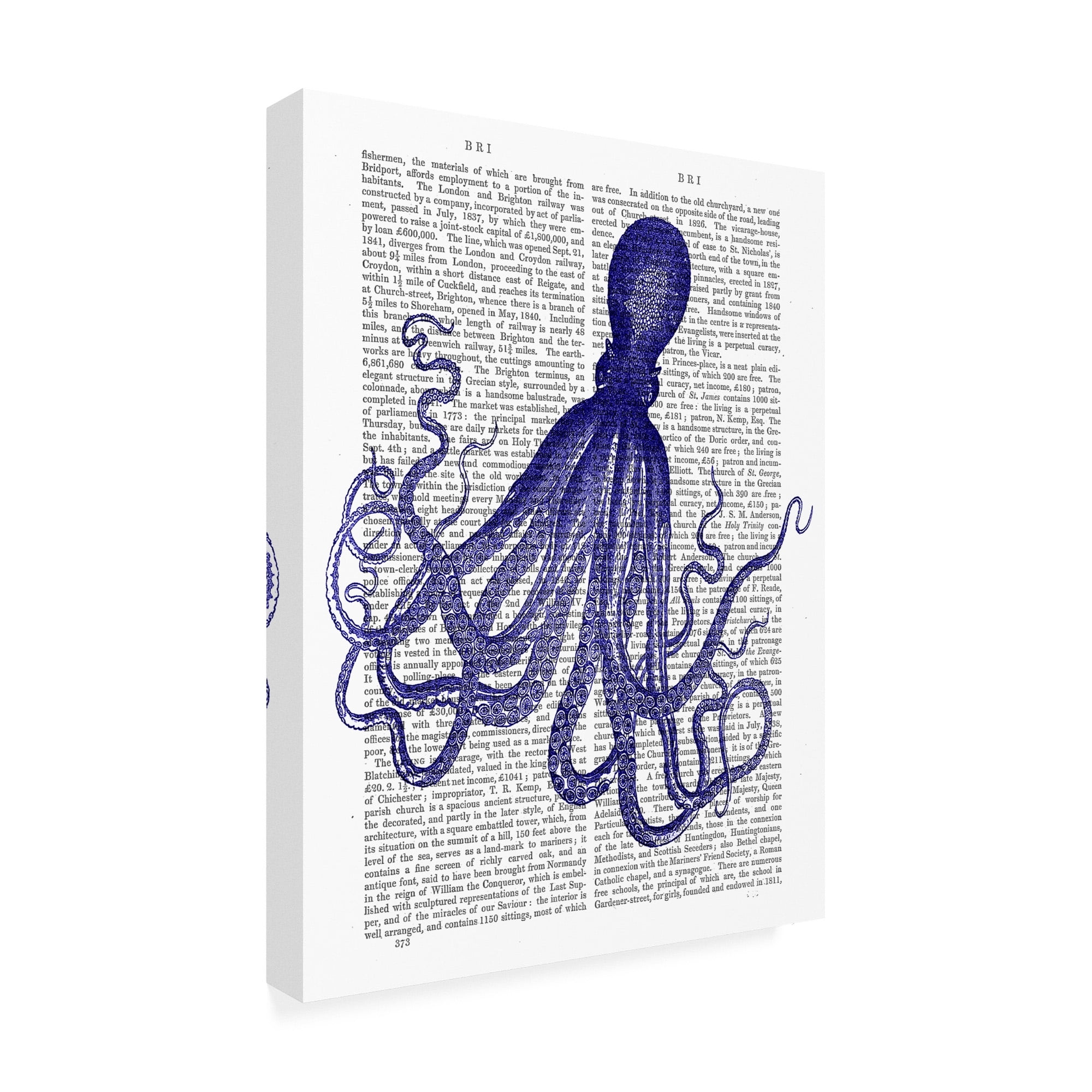 Trademark Fine Art 'Blue Octopus 4' Canvas Art by Fab Funky