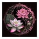 thumbnail image 1 of Pintura de diamante 5D DIY taladro redondo completo Lotus Kit decoración del hogar arte artesanal Hugtrwg Para estrenar, 1 of 9