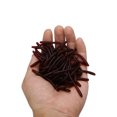 thumbnail image 2 of Señuelos de gusano realistas, cebos de pesca de gusano de pan suave (rojo), 1 paquete de 100 Uds., 2 of 4