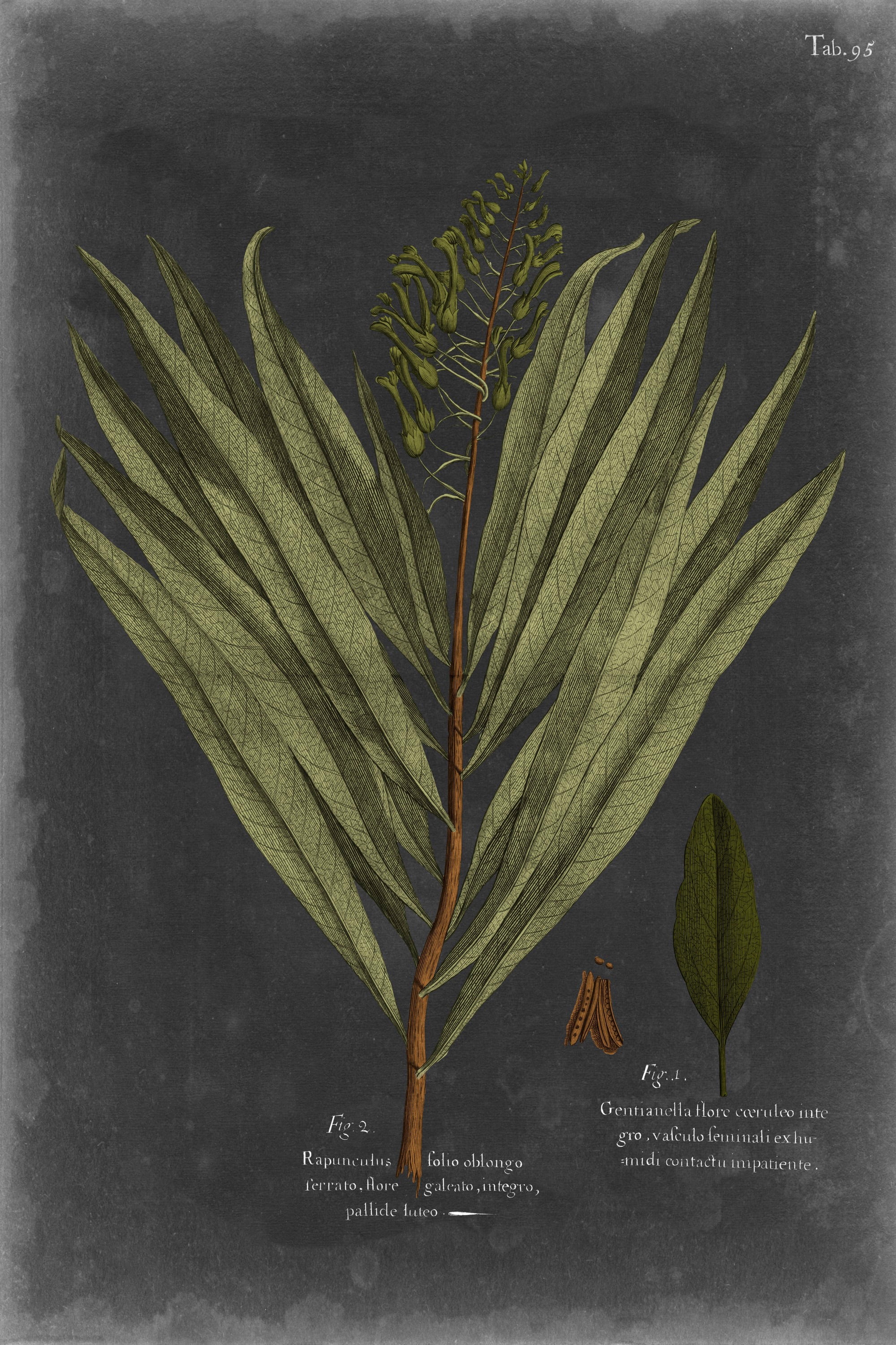 "Foliage Dramatique II" Painting Print on Wrapped Canvas