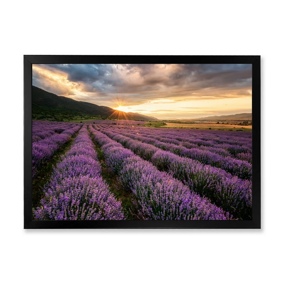 Designart 'Dramatic Clouds and Sunrise Over Lavender Field VI' Farmhouse Framed Art Print