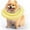 C, variant on KMWGRE Soft Pet Recovery Collar Adjustable Neck Brace for Dogs Cats Post- Comfortable Licking Prevention E-Collar Alternative A 35.00