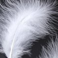 thumbnail image 1 of Bewildely 50 Uds. De plumas de marabú de pavo, vestido de boda esponjoso, decoración de joyería DIY, accesorios decorativos, plumas Artesanía Blanco Bewildely HA002055-01, 1 of 6