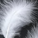 thumbnail image 1 of Billuyoard 50 Uds. De plumas de marabú de pavo, vestido de boda esponjoso, decoración de joyería DIY, accesorios decorativos, plumas Artesanía Blanco Billuyoard HA002055-01, 1 of 6
