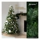 thumbnail image 3 of Árbol de Navidad Clásico 2.1m + Estrella Esquimal, Pino Navideño Artificial Frondoso, 3 of 6